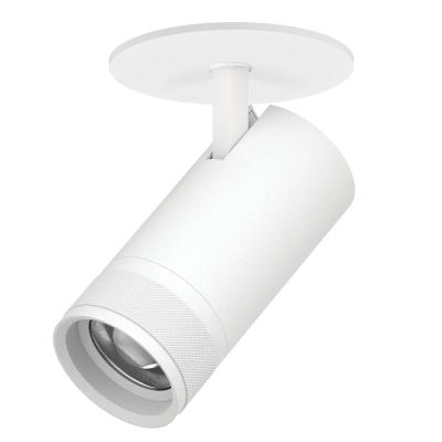 Встраиваемый светильник 20-55G с адаптером Lightstar Canno Pro C4306RS