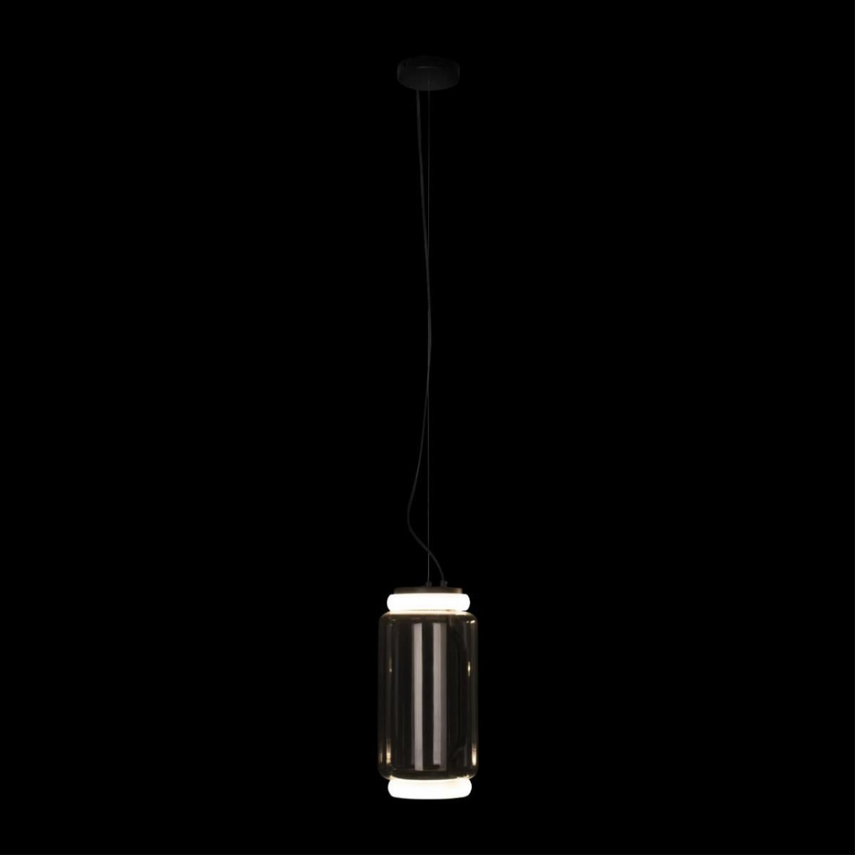 Подвесной светильник Loft IT Noctambule 10194/S