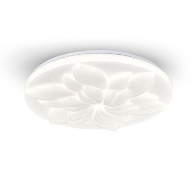 Потолочный светильник Escada Polly 472/PL LED