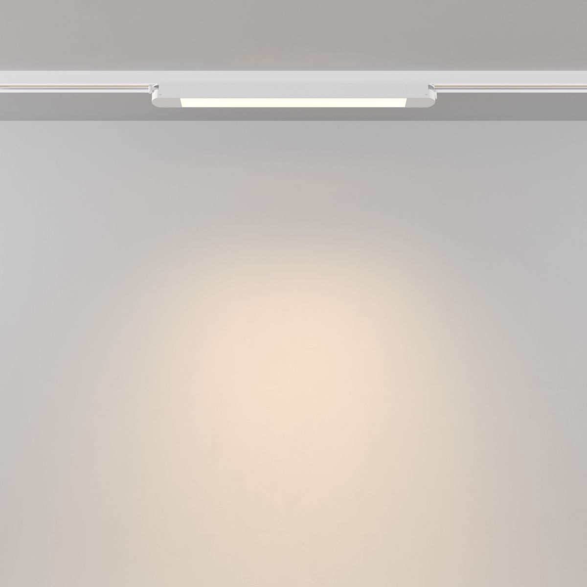 Трековый однофазный светильник Maytoni Technical Basis TR000-1-12W3K-W_1