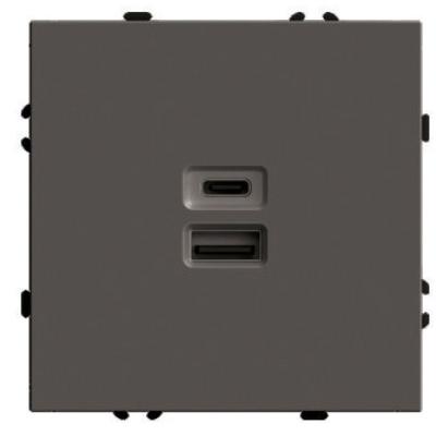 Розетка 2-местная USB + Type C (механизм) Stekker Эмили 250В 20W RST10-5115-09 антрацит soft touch 49931