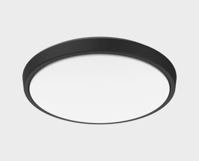 Уличный потолочный светильник Italline IT6011