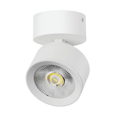 Накладной светильник Alta Pro Lightstar A5546SO