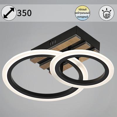 Потолочный светильник Reluce 00330-0.3-1+1