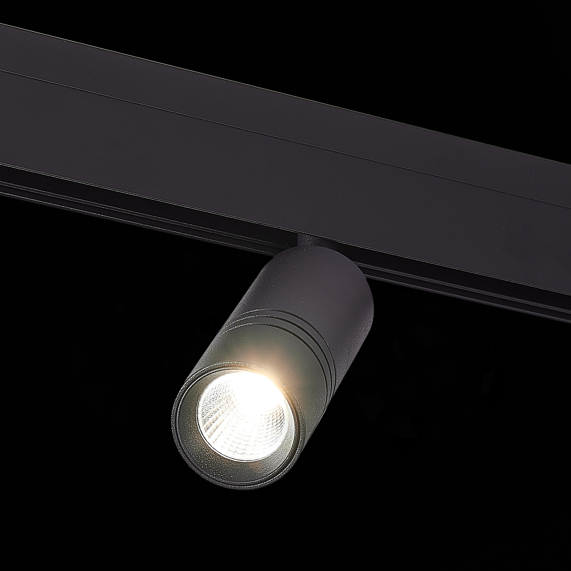 Трековый светильник ST Luce Lemmi ST365.446.12