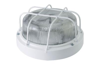 Настенно-потолочный светильник TDM Electric НПП 03-100-103 SQ0311-0020