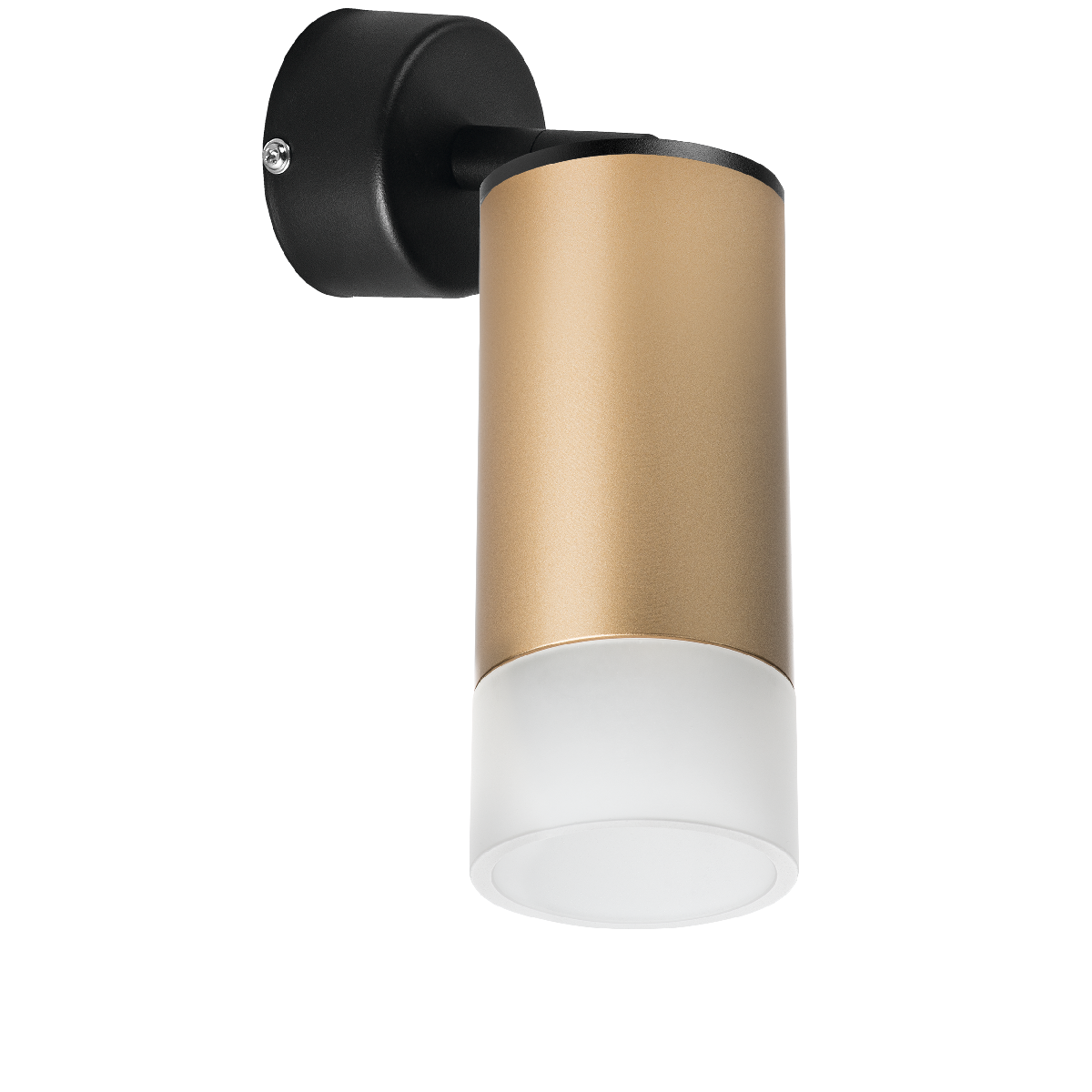 Встраиваемый спот Lightstar Rullo RB44031 (214440+590007+202431)