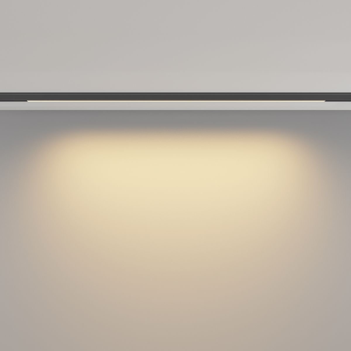 Трековый магнитный светильник Maytoni Basis TR190-1-10W2.7K-B