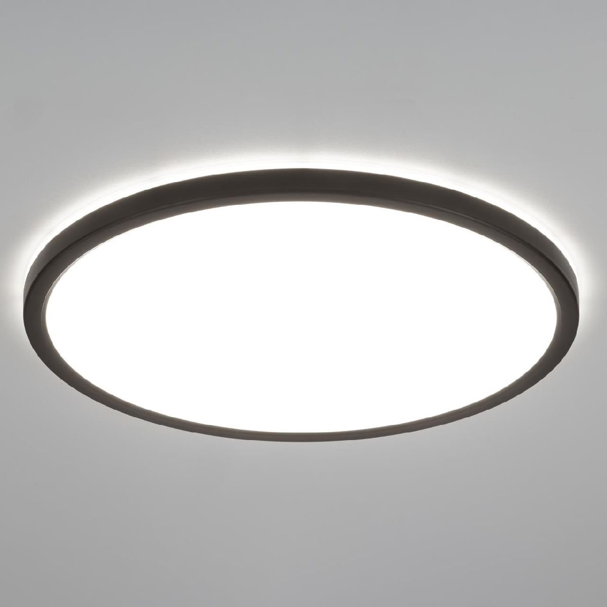 Потолочный светильник Citilux Basic Line CL738321EL