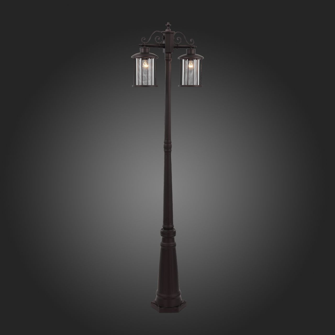 Садово-парковый светильник ST Luce Lastero SL080.425.02