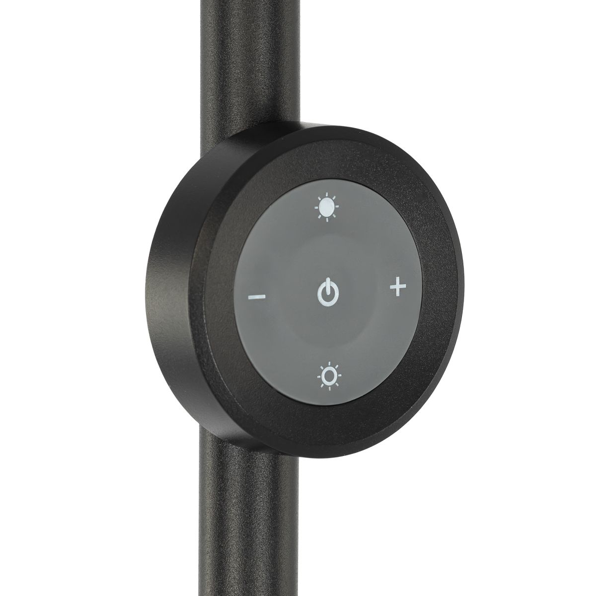 Торшер Citilux Loong CL810031