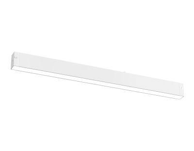Трековый магнитный светильник Ambrella Light Track System GL8060
