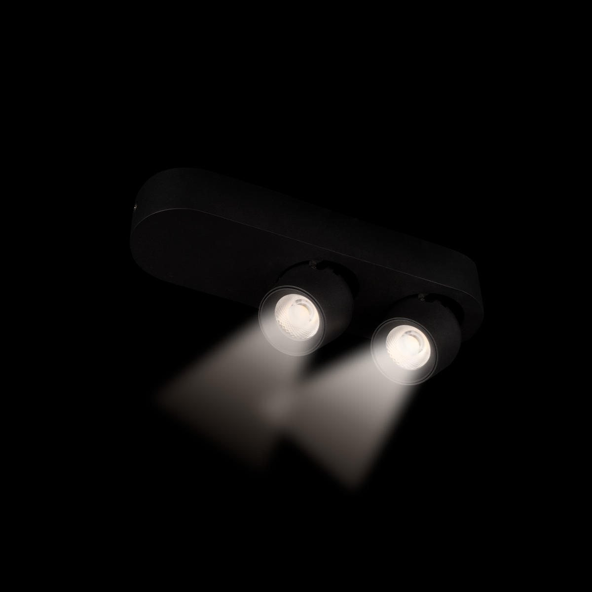 Накладной спот Loft IT Quiet 10320/2 Black