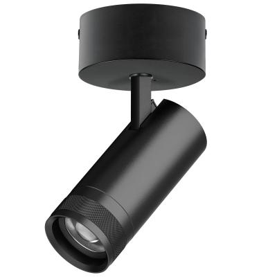 Накладной светильник 20-55G с адаптером Lightstar Canno Pro C4207SO