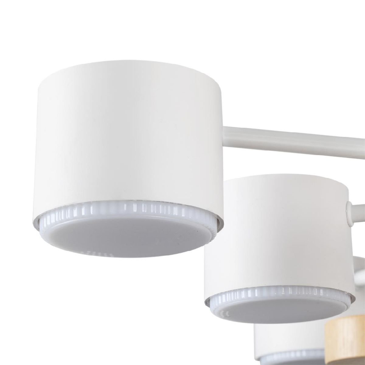 Люстра на штанге Lumion Rondo 8196/10C
