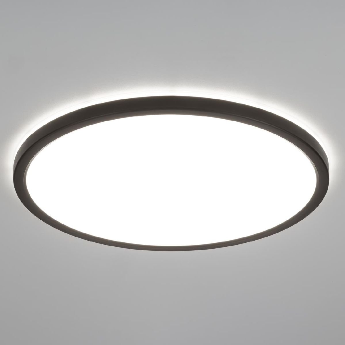 Потолочный светильник Citilux Basic Line CL738321VL