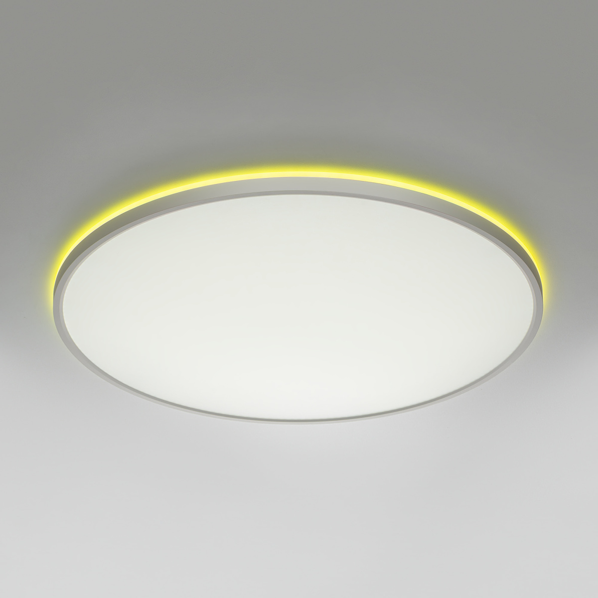 Потолочный светильник Citilux Norma LED RGB CL749600