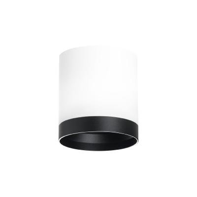 Накладной светильник Lightstar Rullo (213486+203487) R34863487