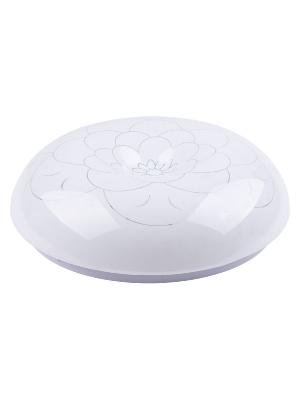 Настенно-потолочный светодиодный светильник TDM Electric Цветок LED СПС 08 SQ0329-0198