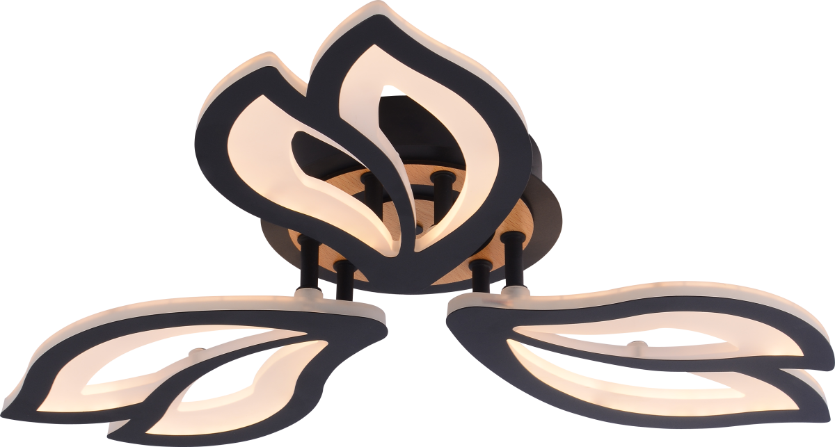 Потолочный светильник Rivoli Lana 6195-703 Б0070142