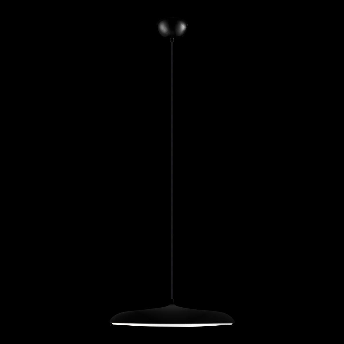 Подвесной светильник Loft IT Plato 10119 Black
