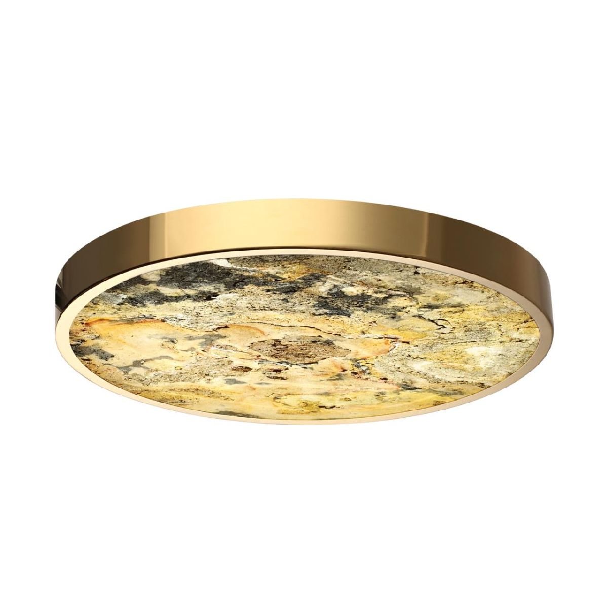 Настенно-потолочный светильник Odeon Light Bergi 5079/40L