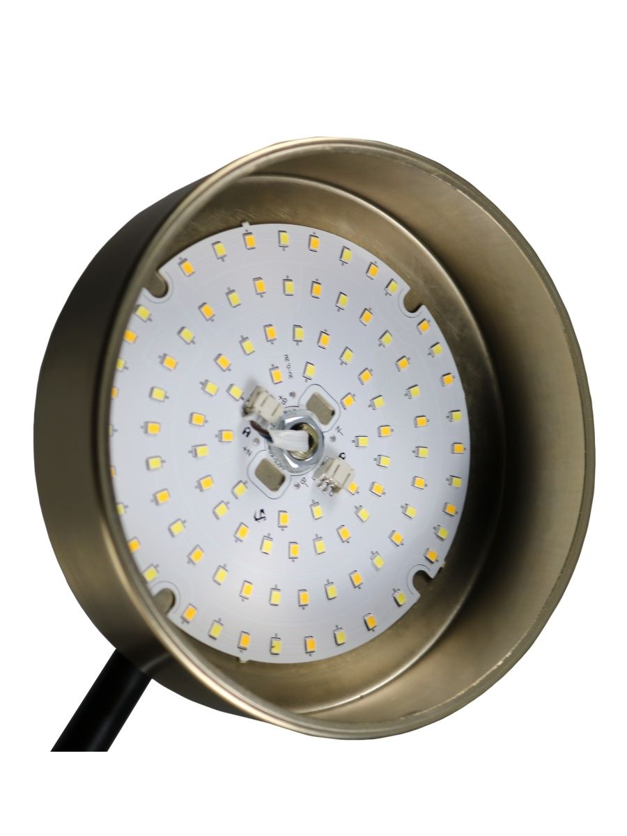 Люстра на штанге Zortes Lunar ZRS.01243.04