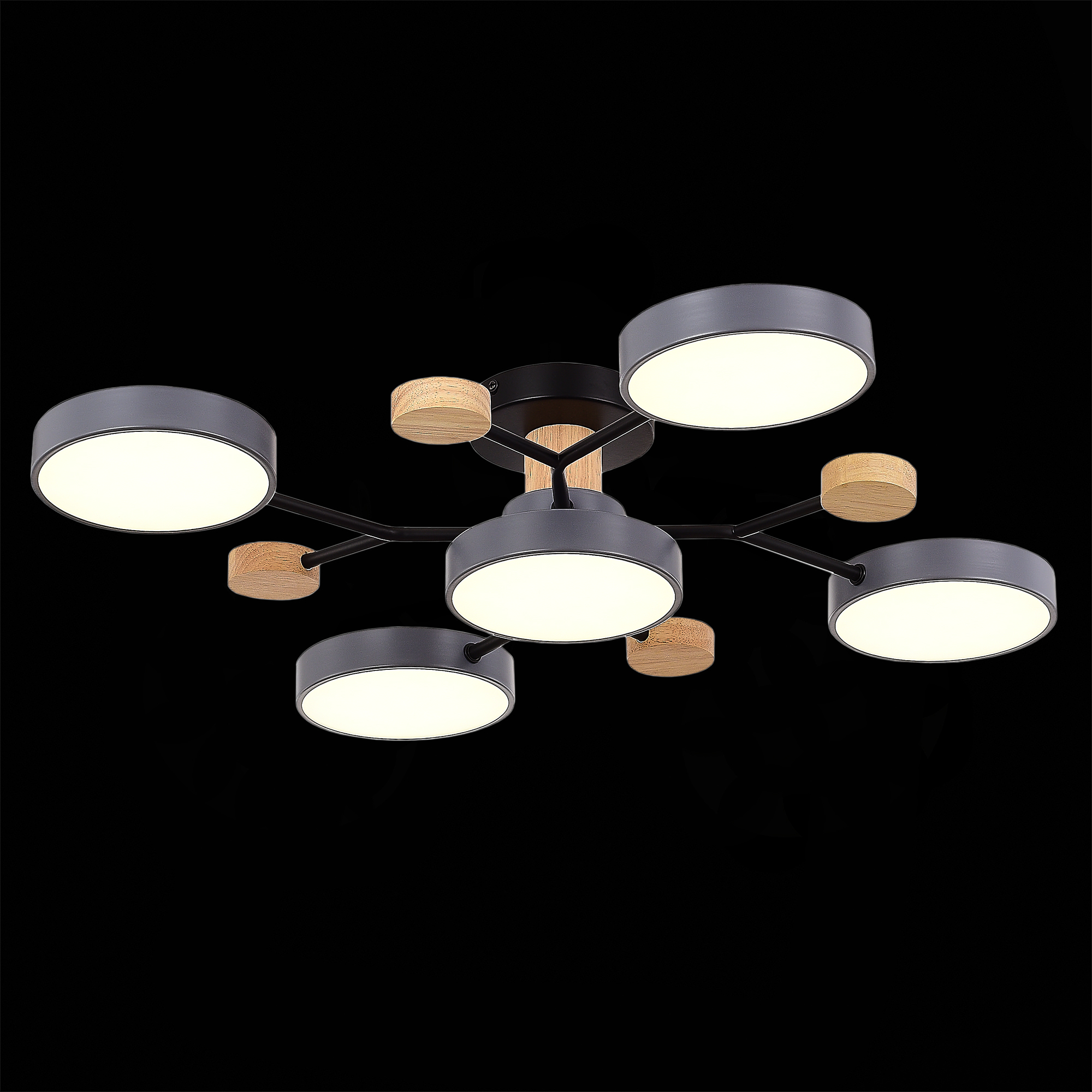 Люстра на штанге Evoluce Faema SLE6006-702-05