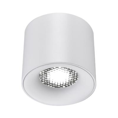 Накладной светильник ST Luce ST761.543.10