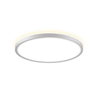 Потолочный светильник Citilux Norma CL748320