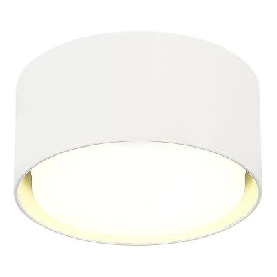 Накладной светильник ST Luce ST164.502.01