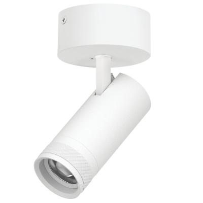 Накладной светильник 20-55G с адаптером Lightstar Canno Pro C4206SO