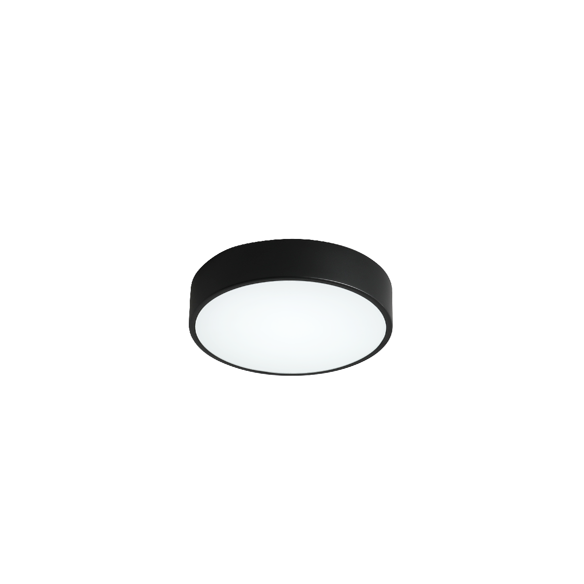 Потолочный светильник Zortes Tortty ZRS.02563.36