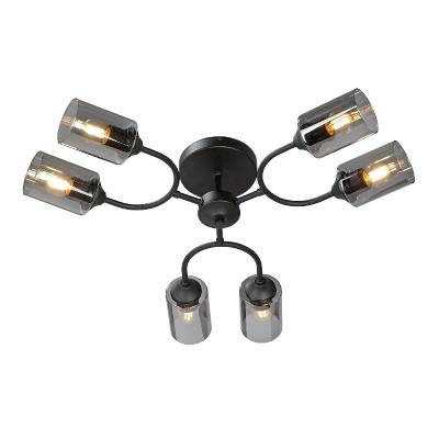 Потолочная люстра Vitaluce V2823-1/6PL